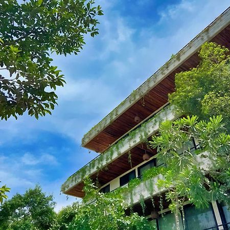 Etnica Ku - Tulum Jungle Paradise Exterior foto